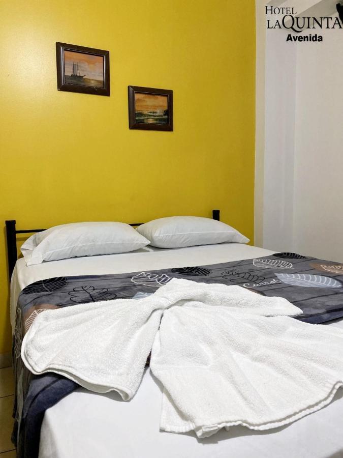 Quinta Avenida 2* San Jose (San Jose)